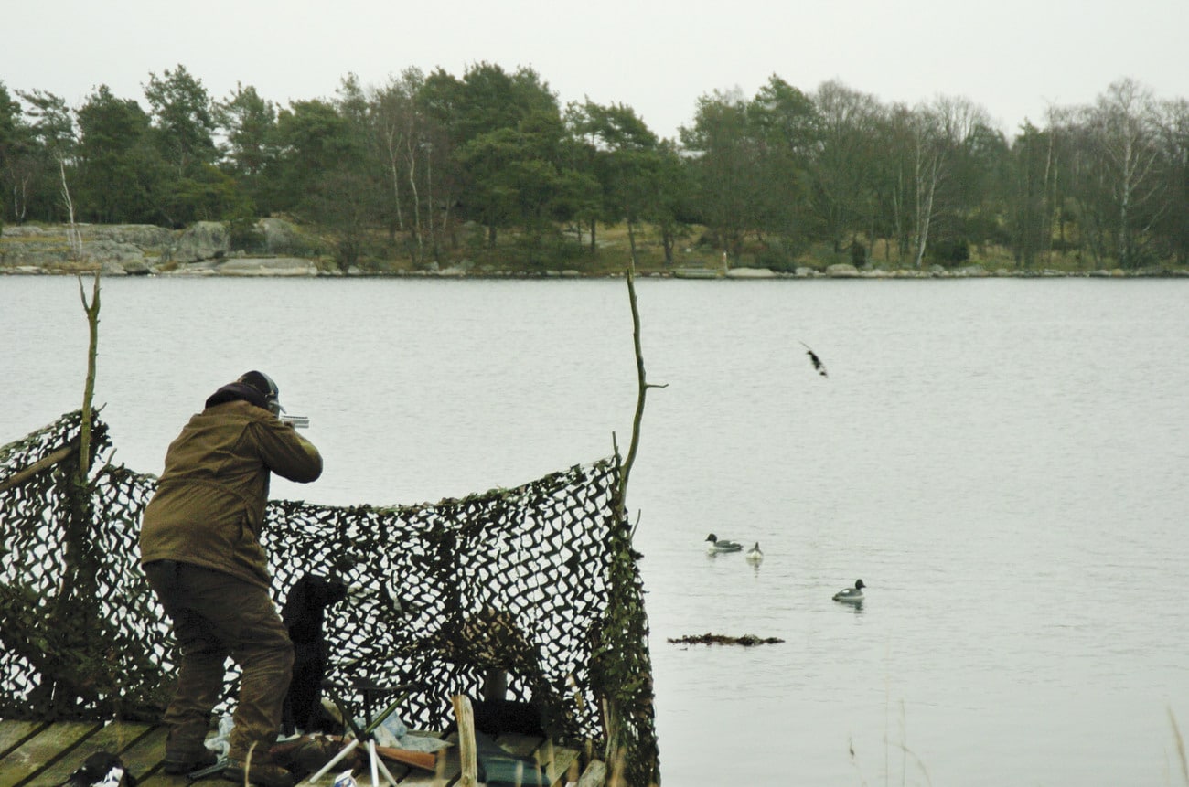 Djurens Rätt tänker intensifiera sitt opinionsarbete mot jakt och fiske. Foto: Jan Henricson