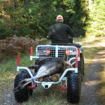 Fällda djur får fortfarande köras ut ur skogen till närmaste bilväg. Foto: Jan Henricson