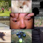 Jägare lever farligt. Här är elva faror och tips på hur du kan undvika dem. Montage: Daniel Sanchez