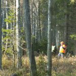 Att få jaga på egen mark, att kunna plocka bär och svamp i egna skogar, har betydelse för det ökande intresset att äga en egen gård. Foto: Jan Henricson