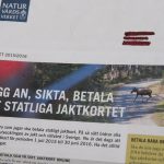 Ett bra läge för att skjuta kalven, eller en riskfylld jaktsituation? Naturvårdsverkets bildval och rubriksättning i utskicket av betalningsavin för det statliga jaktkortet får kritik. Foto: Jan Henricson