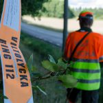 Vi vill höra hur du har det som eftersöksjägare. Maila. Foto: Martin Källberg