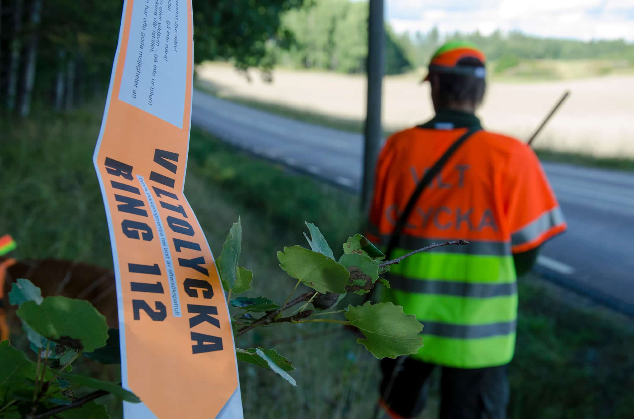 Vi vill höra hur du har det som eftersöksjägare. Maila. Foto: Martin Källberg