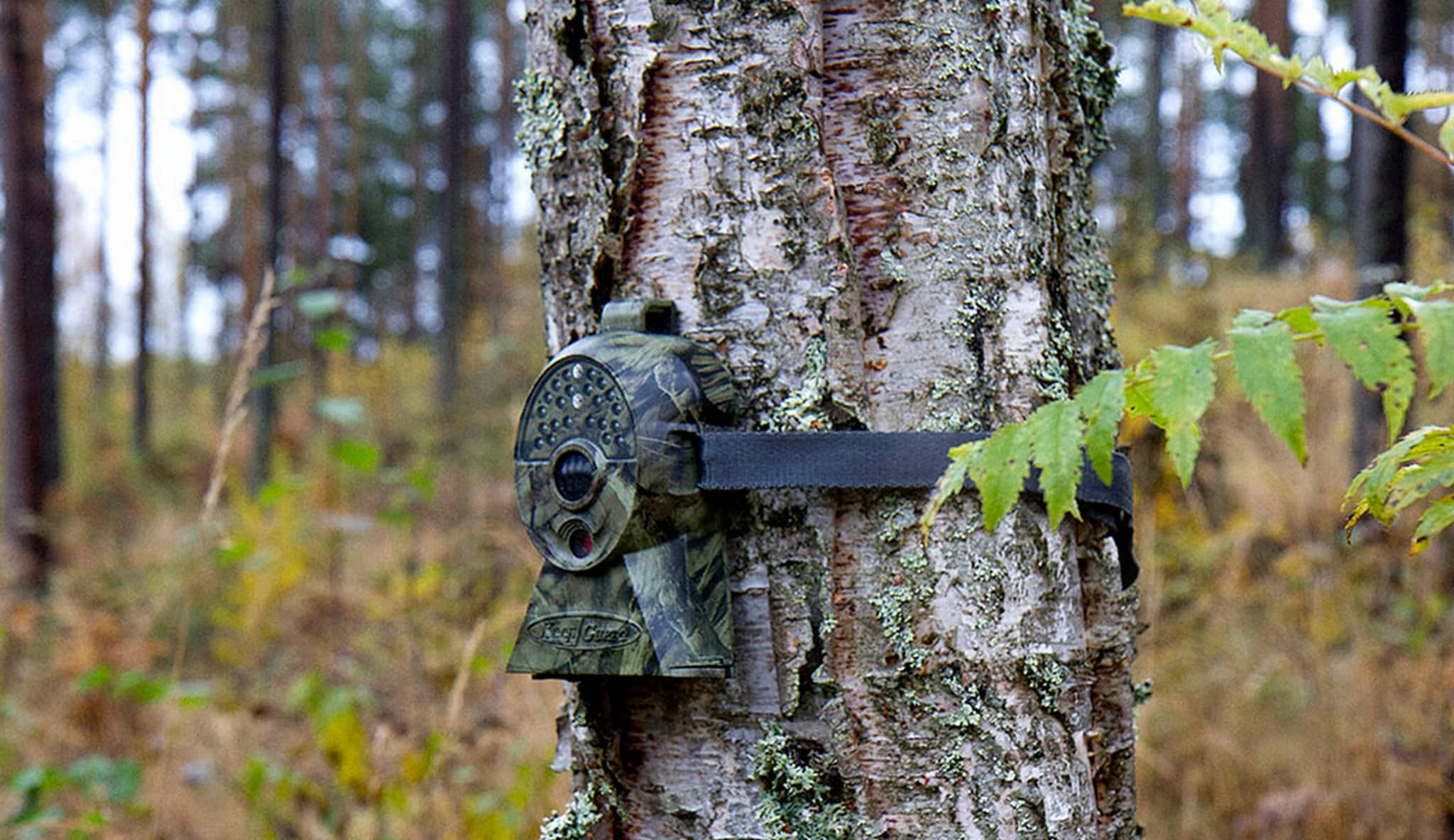 Arkivbild. Foto: Olle Olsson