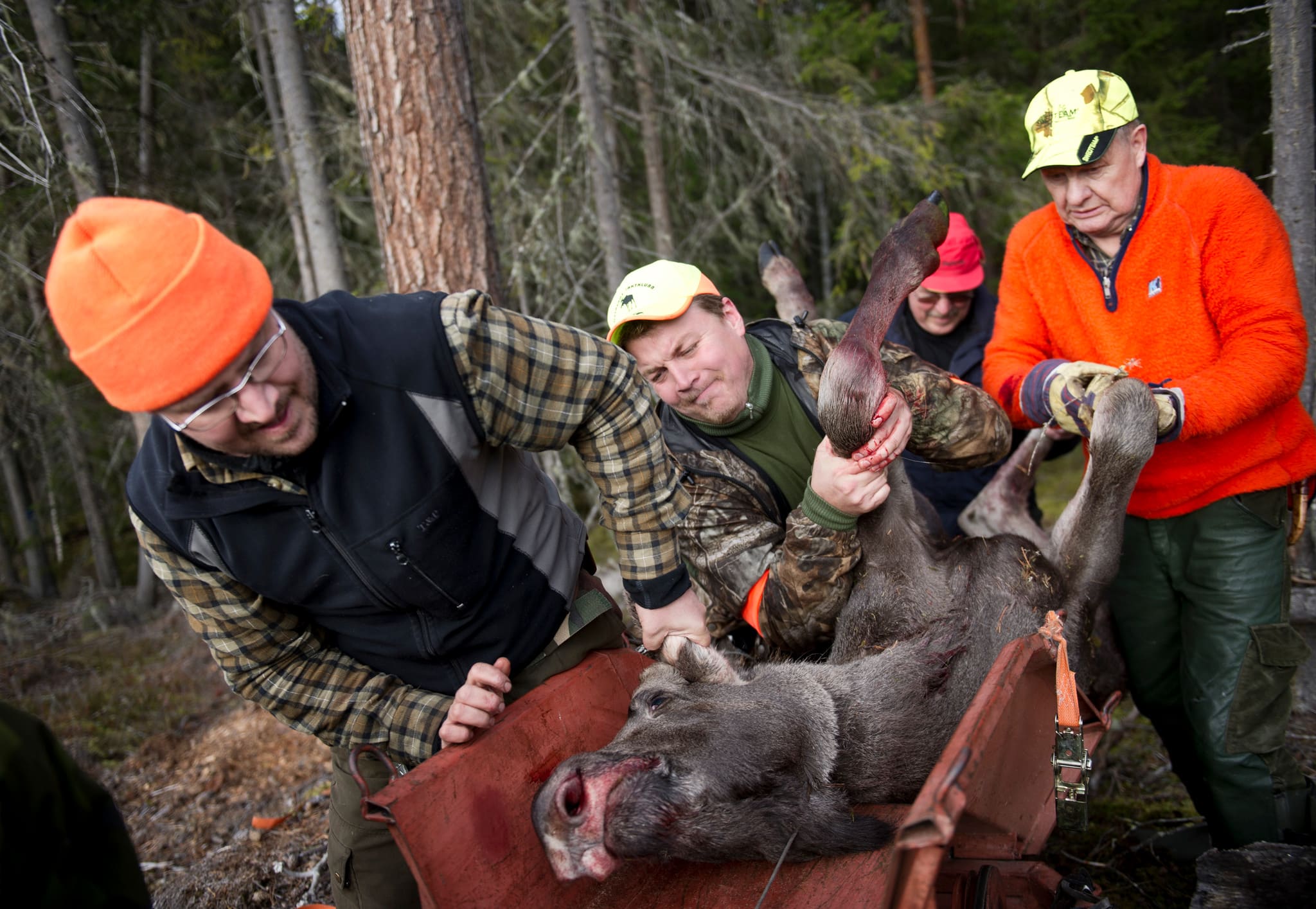 Foto: Pontus Orre