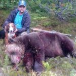 Med sina 305,4 kilo är björnhannen som jägaren Andreas Lindgren fällde i skogarna söder om Fränsta den största som fällts i år. Foto: Privat