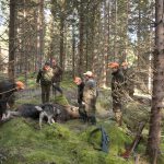 Att jägare och markägare samverkar inom älgskötselområden är en hörnsten i älgförvaltningen. Foto: Jan Henricson