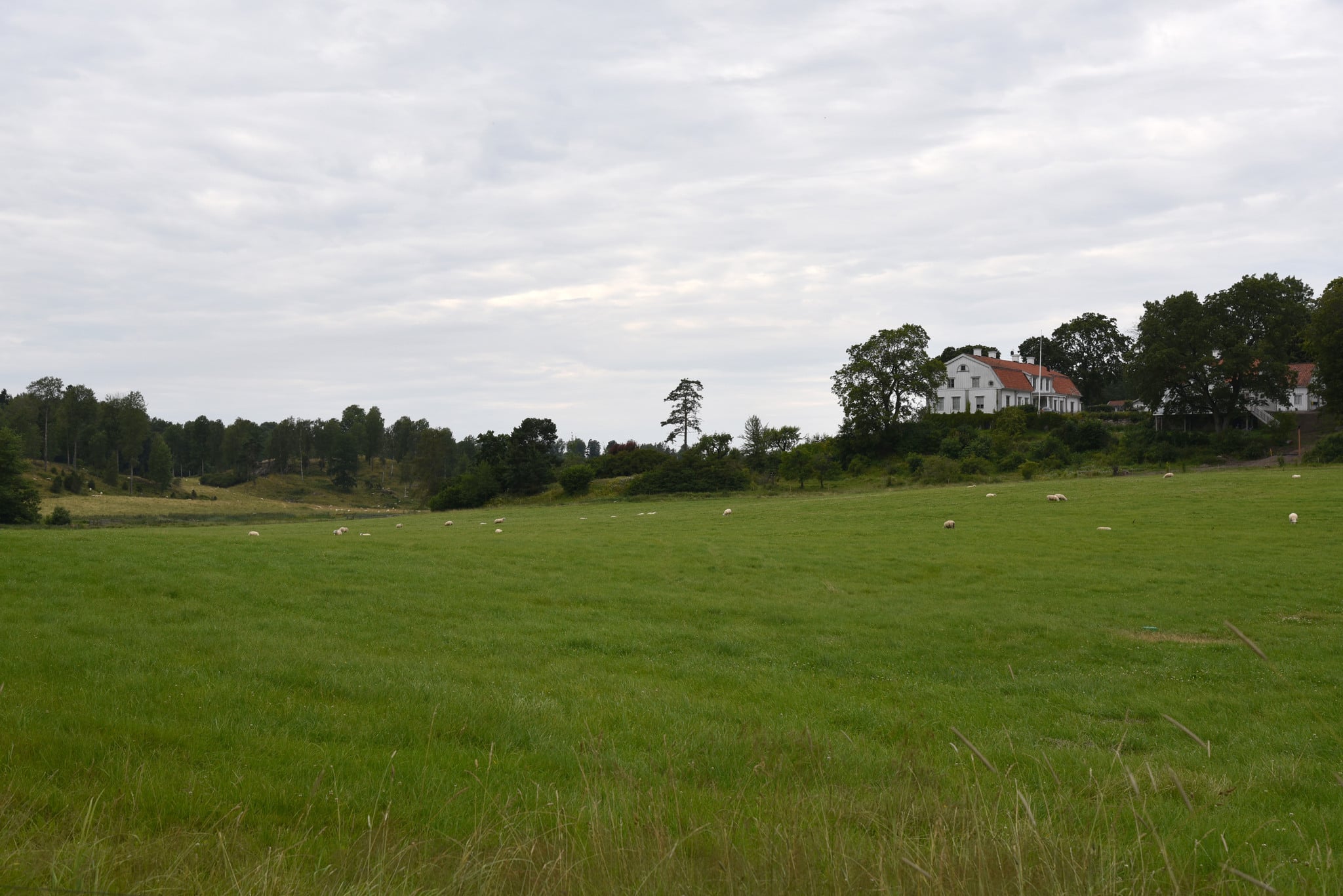 Molstaberg gård som nu utreds om de brutit mot djurskyddslagen. Foto: Martin Källberg