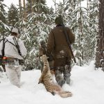 En förutsättning för lodjursjakten i Västernorrland är att det finns spårsnö. Foto: Olle Olsson