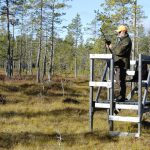 Jägarna ställer upp när det behövs. Observationerna som gjorts och rapporterna som jägarna skickat till SVA under höstens jakt är mycket viktiga för att få svar på vad som orsakar hudsåren hos främst stora tjurar. Foto: Jan Henricson