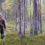 Foto: Lars-Henrik Andersson