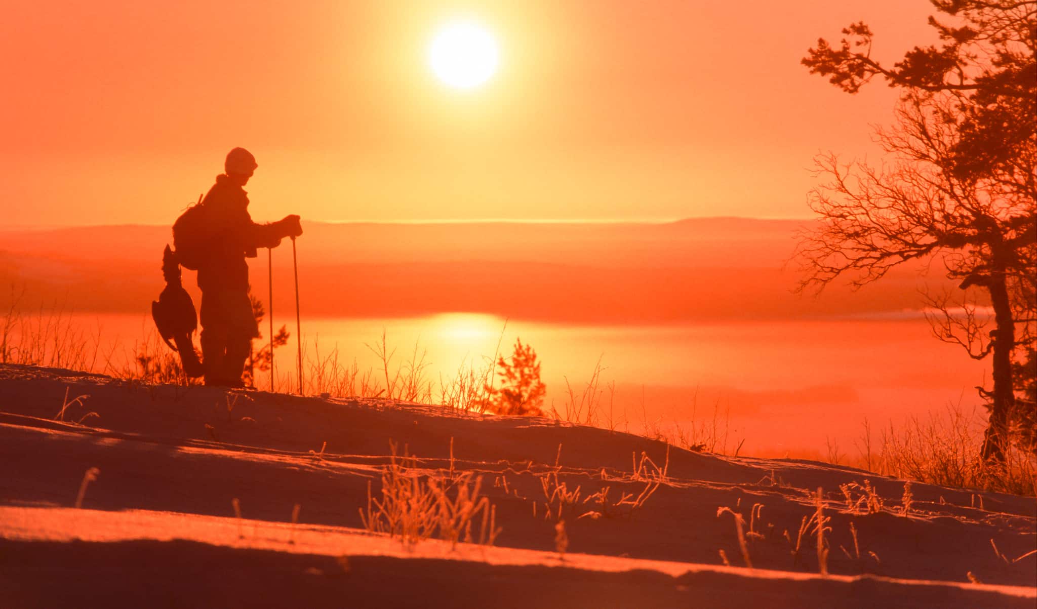 Foto: Kjell Erik Moseid