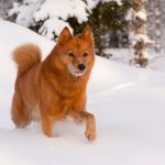 Foto: Kjell-Erik Moseid