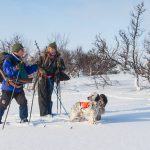 Foto: Kjell-Erik Moseid