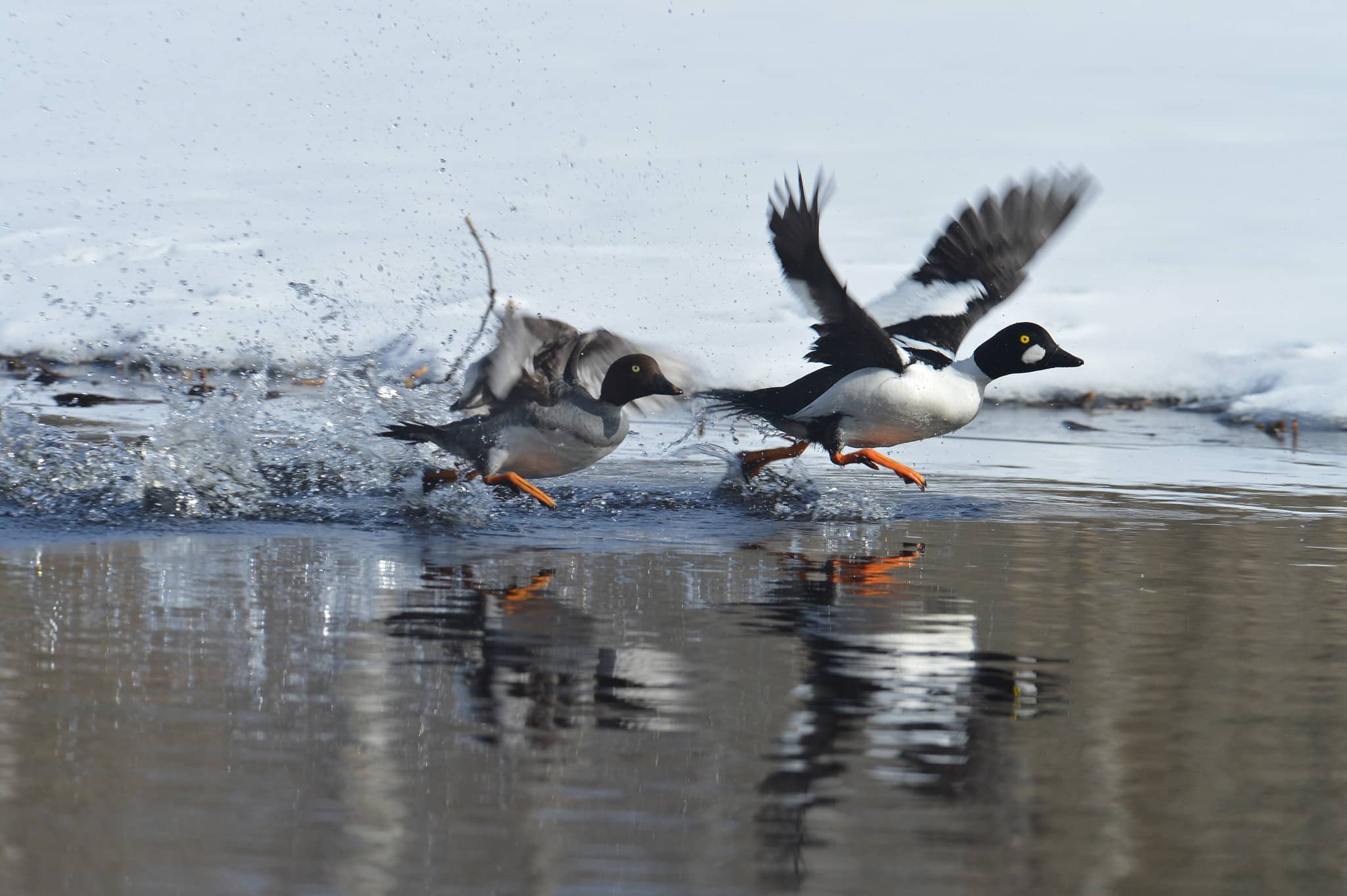 Foto: Kenneth Johansson