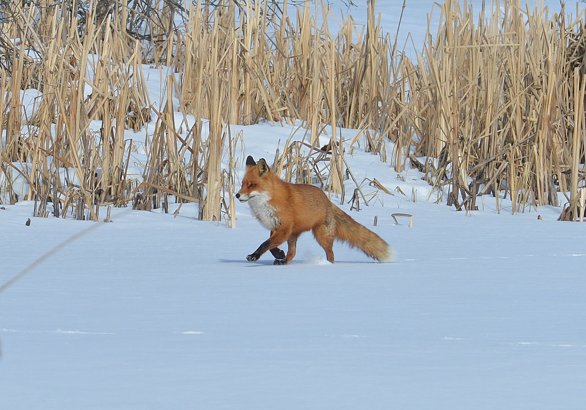 Foto: Kjell-Erik Moseid