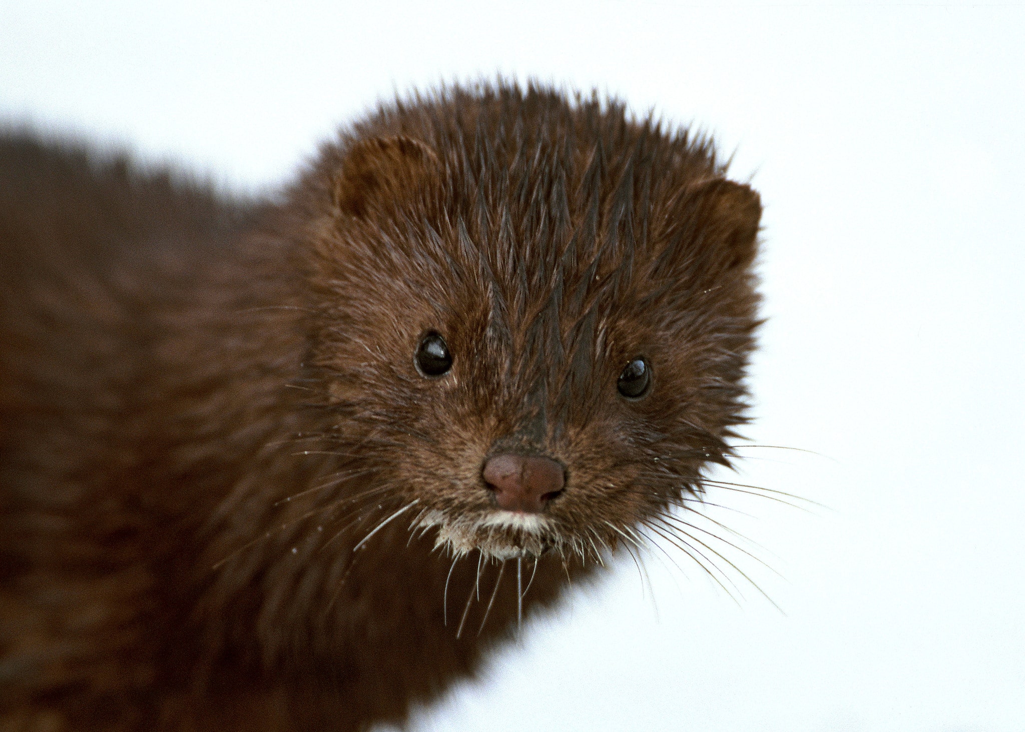 Foto: Kenneth Johansson