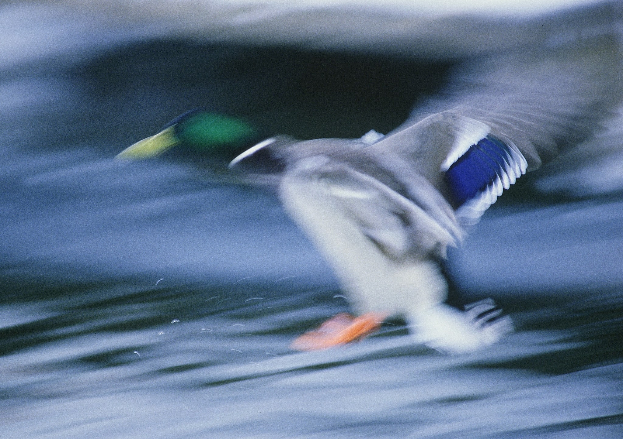 Foto: Kenneth Johansson