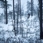 Svenska Jägareförbundet försöker nu rädda vinterns vargjakt. Foto: Olle Olsson