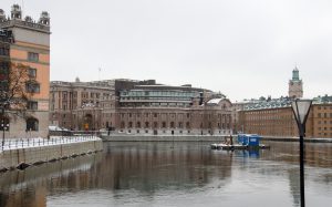 Ännu en gång debatteras varg och vargjakt i riksdagshuset.