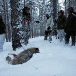 Foto: Olle Olsson