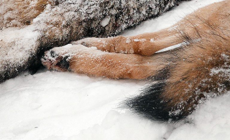 Foto: Lars-Henrik Andersson