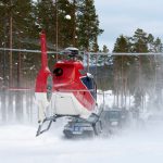Skyddsjakten får genomföras med hjälp av helikopter. Foto: Olle Olsson