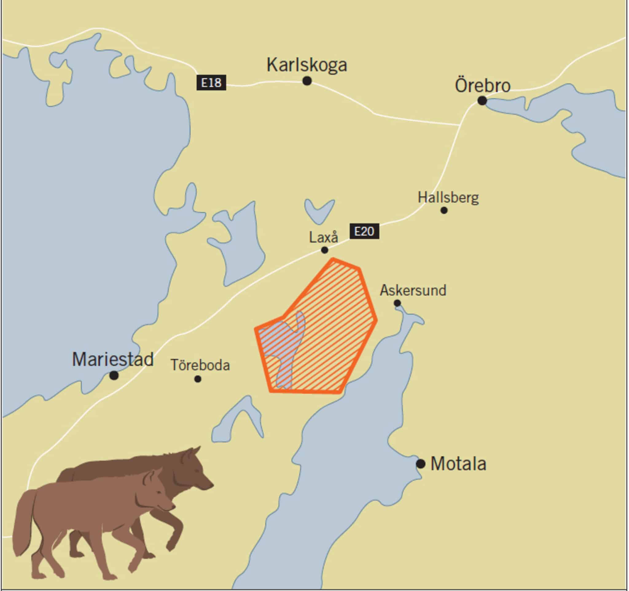 Vargen i Jämtland är en avkomma till det finsk-ryska vargpar som flyttades till Tiveden från Norrbotten för några år sedan. Karta: Naturvårdsverket