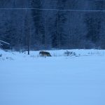 Foto: Kicki Grankvist