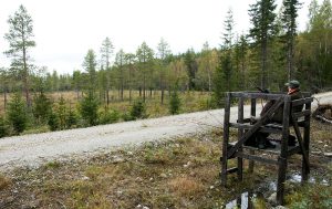 Hur ska man som jaktledare resonera vid markering av "säkra skjutriktningar"? Foto: Jan Henricson