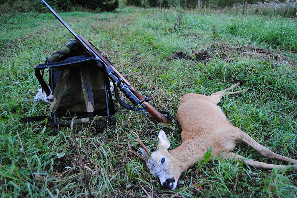 Jacob Sundling fällde sitt livs andra råbock. Foto: Privat