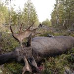 Foto: Jan Henricson