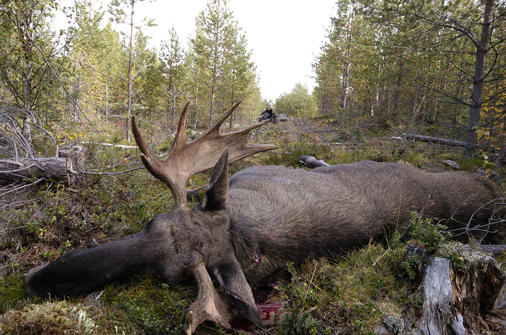 Foto: Jan Henricson