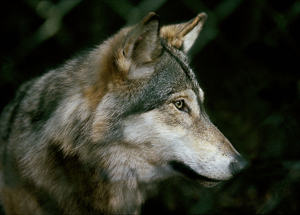 Foto: Kenneth Johansson