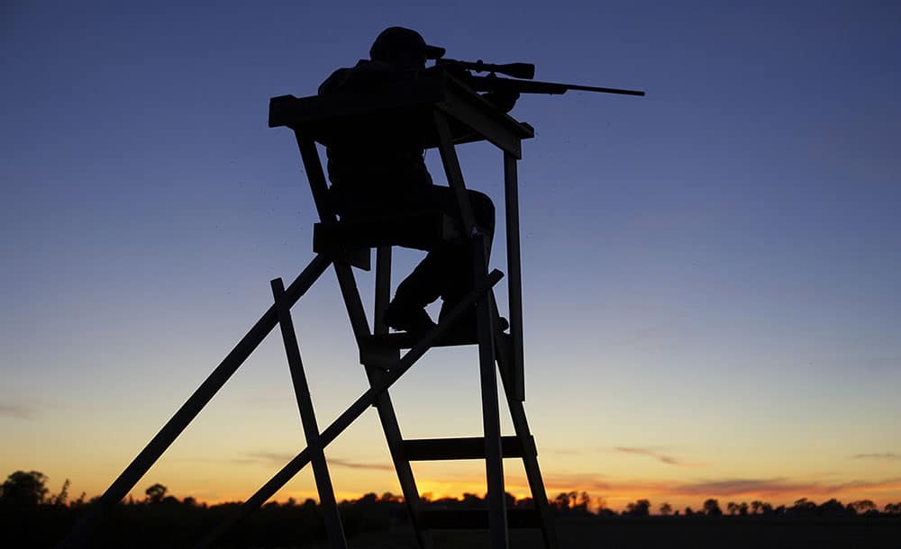 Hetsjakten på jägare har blivit allt intensivare, anser insändarskribenten. Foto: Sten Christoffersson