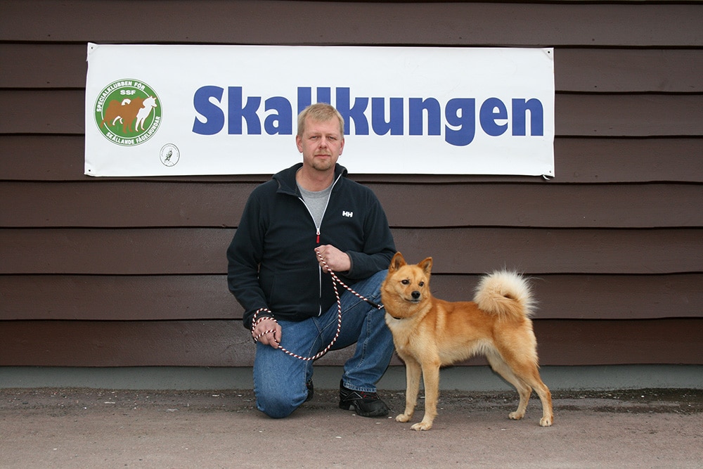 Fort Hjort Nalli och Anders Morin från Kalix vann SM för trädskällare. Foto: Svante Månsson