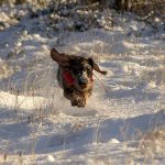 Foto: Olle Olsson
