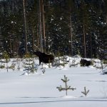 Foto: Olle Olsson