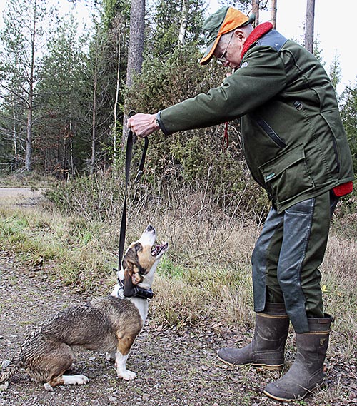 Efter jakten bjuder husse och hund på en lite annorlunda musikupplevelse i skogen. Foto: Ola Antonsson