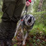 Foto: Olle Olsson