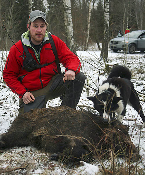 Fredrik Johansson och hans karelska björnhund Erkki, som är frisk och jagar igen efter att ha blivit skadad av ett vildsvin under ett eftersök. Foto: Urban Ihreklint