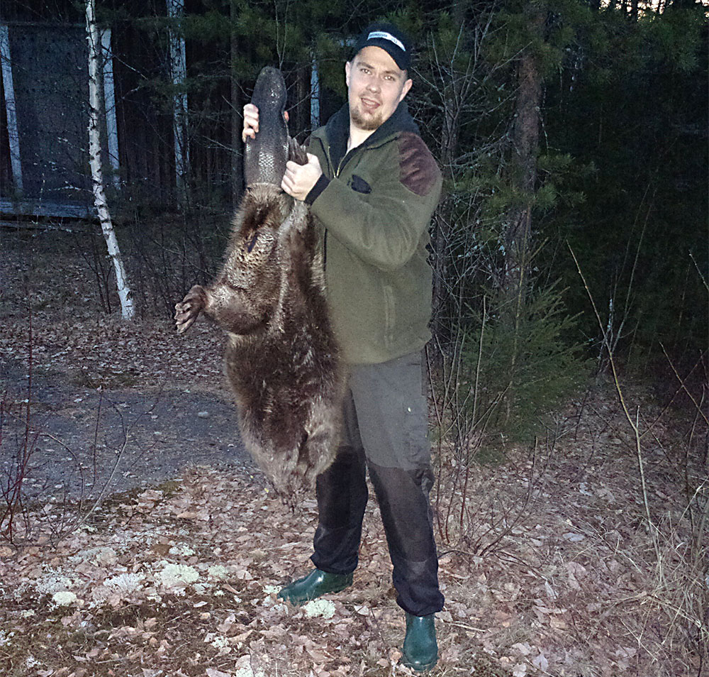 Peter Jonsson fällde en bäver på 27 kilo i Västerbotten. När han släpade den genom igenväxt blötmark lovade han sig själv att aldrig fälla en så stor bäver igen. Foto: Privat