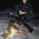 Andreas Vennberg lyckades fälla en räv med ovanliga färger. Foto: Privat