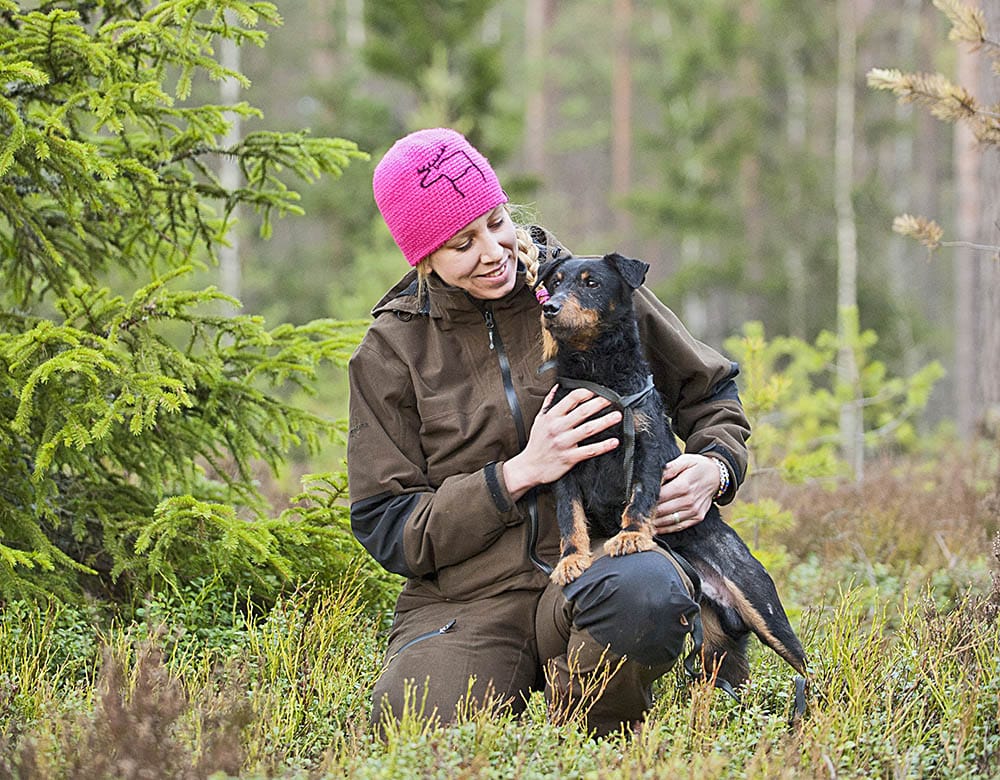 Castro, Angelica Johanssons tyska jaktterrier, blev påkörd av en bil under en jakt. Det aktualiserade försäkringsfrågan om vem som ska stå för vad, eftersom både bilister och hundägare har strikt ansvar. Foto: Jessica Bolander