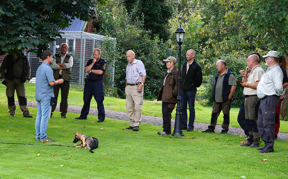 Jens Frank visar markeringsövningar med en 15 veckor gammal valp i trädgården hos Germund för intresserade länsansvariga jägare. Foto: Germund Eriksson