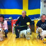 I mitten segrande basset, Smebäckens Valdemar. Till vänster tvåan, Mörka Skogs Rut Zackrisson och till höger trean, Rainstone Habile. Foto: Cecilia von Braun
