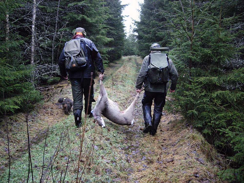Jägaren vet var djuret kommer ifrån och att det haft ett bra liv, skriver debattören. Foto: Jan Henricson
