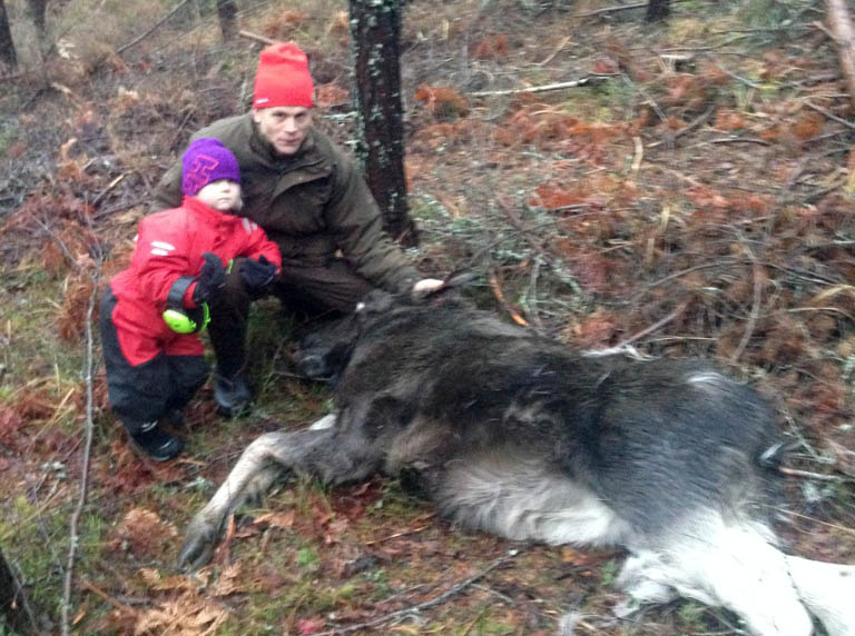 Första älgkalven med 4-åriga Clara som sällskap. Foto: Privat