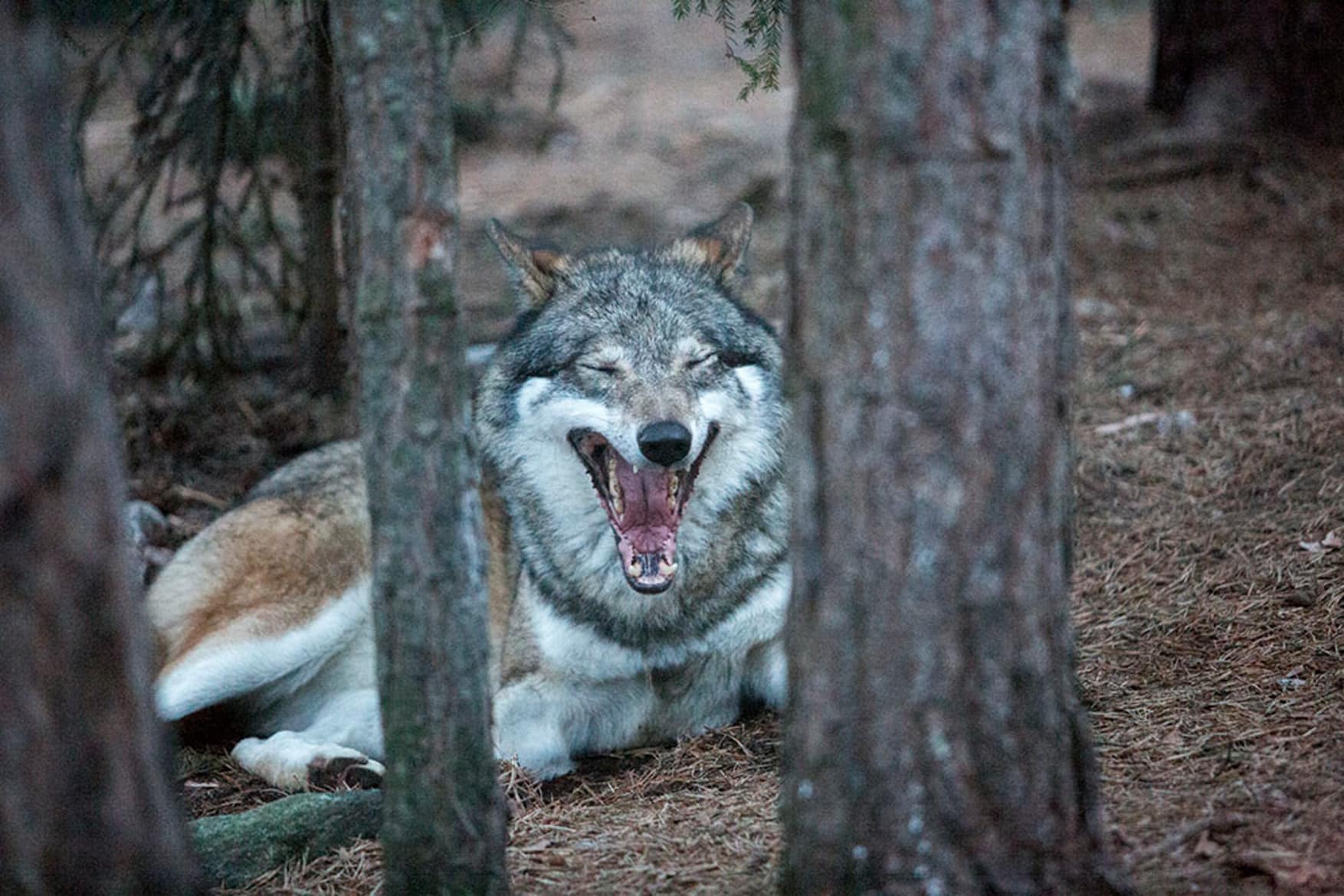 Foto: Olle Olsson