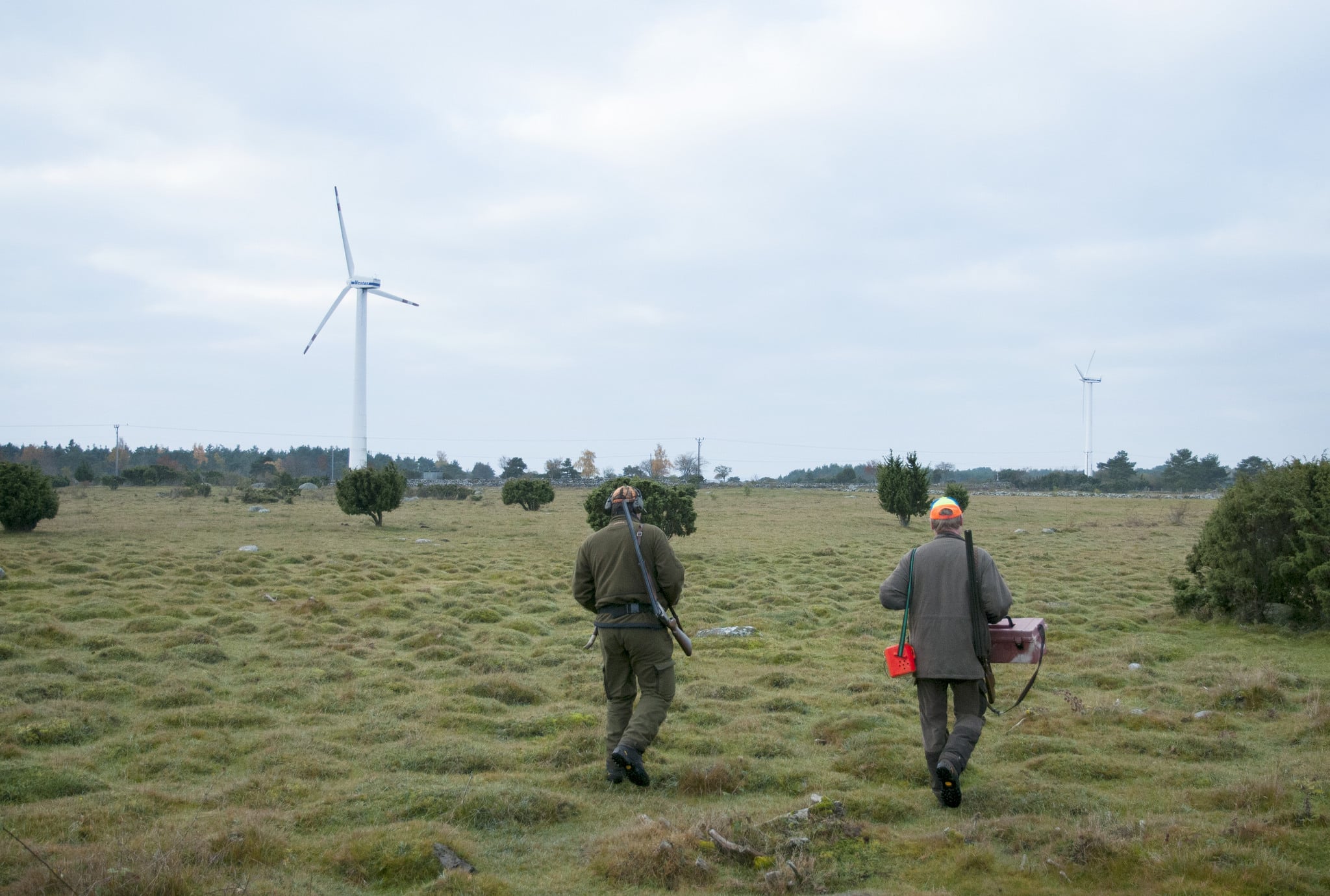Att Jägareförbundet engagerar sig mer i klimatfrågan är önskvärt ur flera aspekter, skriver debattören Mattias Goldmann. Foto: Jan Henricson
